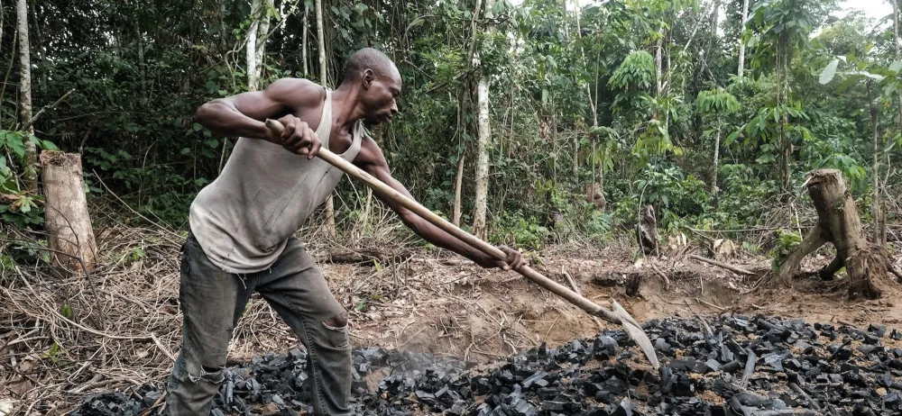 Le Congo renforce sa préparation pour l'accès au marché carbone TREES